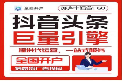 SEM搜索引擎优化成功案例，揭示优化策略与技巧